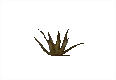 57+ 7 Days To Die Yucca Pflanze, It takes a day or two for full