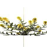 Goldenrod Flower - Official 7 Days to Die Wiki