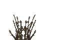 BrownGrass.png