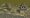 Prison.jpg