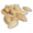 PumpkinSeed.png