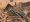CanyonMine.jpg