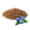 BlueberrySeed.png