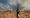 A14DesertBiome.jpg