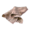 Cloth.png