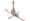 GyrocopterChassis.png
