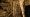 Stalactites.jpg