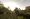 ForestBiomeNew.jpg