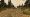 Highway260.jpg