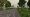 Courtland St.jpg