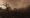 A14BurntForestBiome.jpg