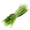 YuccaFibers.png