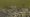 Gravetown.jpg