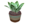 Plant02.png