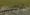 JunkYard.jpg