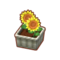 Int 2480 flower1 cmps.png