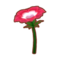 Int 3010 anemone cmps.png