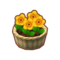 Int 2620 flower2 cmps.png