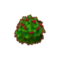 Int oth holly cmps.png
