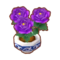 Int 3320 flower2 cmps.png