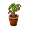 Int plt happy.png
