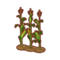 Int oth corn.png