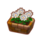 Int 2050 flower3 cmps.png