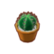 Furniture Round Mini Cactus.png