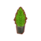 Rmk oth goldcrest.png