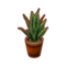 Furniture Snake Plant.png