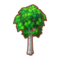 Int 2370 tree01 cmps.png
