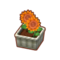 Int 2480 flower3 cmps.png