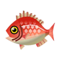 Red Snapper - Animal Crossing: Pocket Camp Wiki