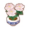 Int 3320 flower1 cmps.png
