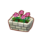 Int 3010 flower3 cmps.png
