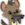 Char-hyena.png