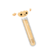 DNA Sheep.png