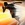 Dive Bomb- Descend rapidly, crashing into the target.