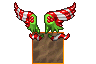 Christmas Wings.gif