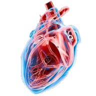 Dino heart  official ark survival evolved wiki