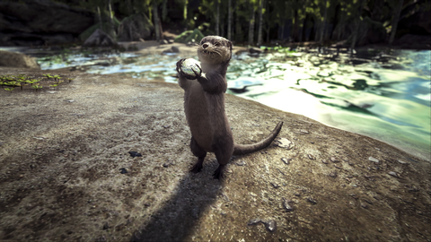 Otter - Official ARK: Survival Evolved Wiki