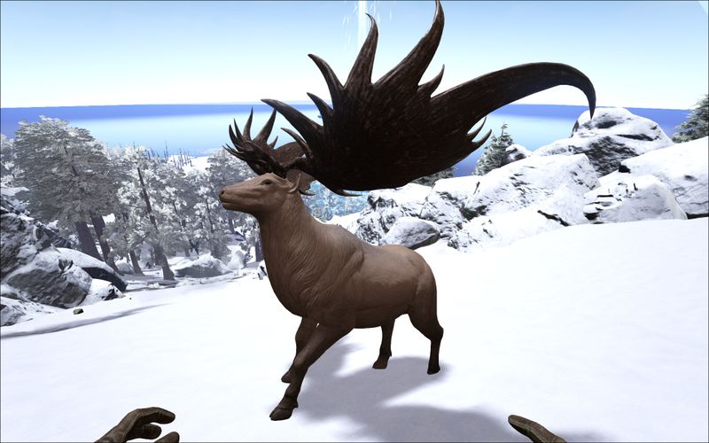 راهنمای قدم به قدم بازی Ark : Survival Evolved