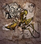 mantis official ark survival