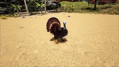 Turkey Super Turkey Super