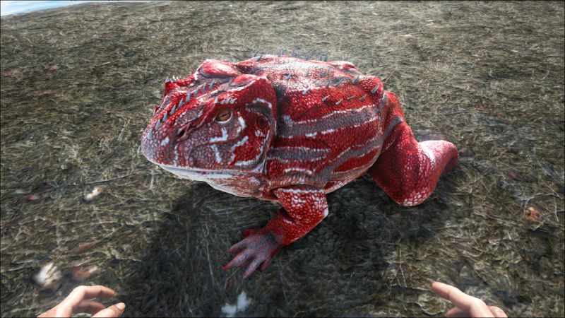 File:Beelzebufo PaintRegion0.jpg