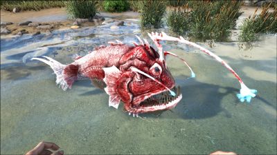 anglerfish official ark survival