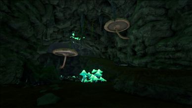 jungle cave the center