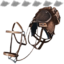 Generic Saddle