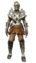 Plate Armor