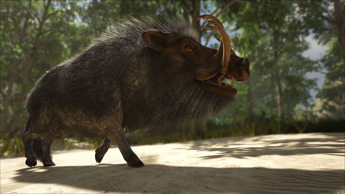 Atlas Pig: The Viral Pet Sensation Taking Over the Internet